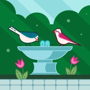 Meet your Posher, Colleen